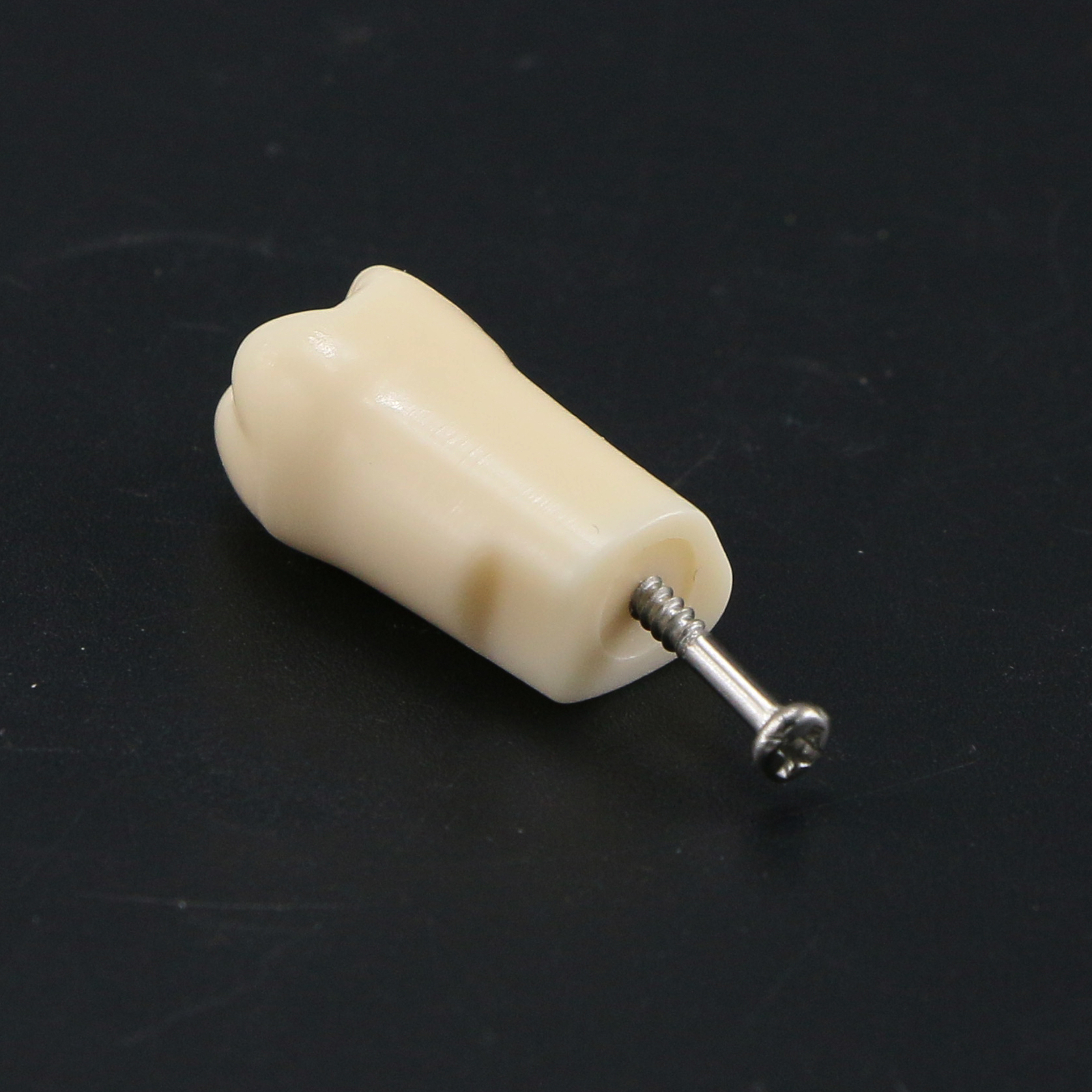Dental Typodont Replacement Screw-in Teeth Model fits Kilgore NISSIN 200/500Type