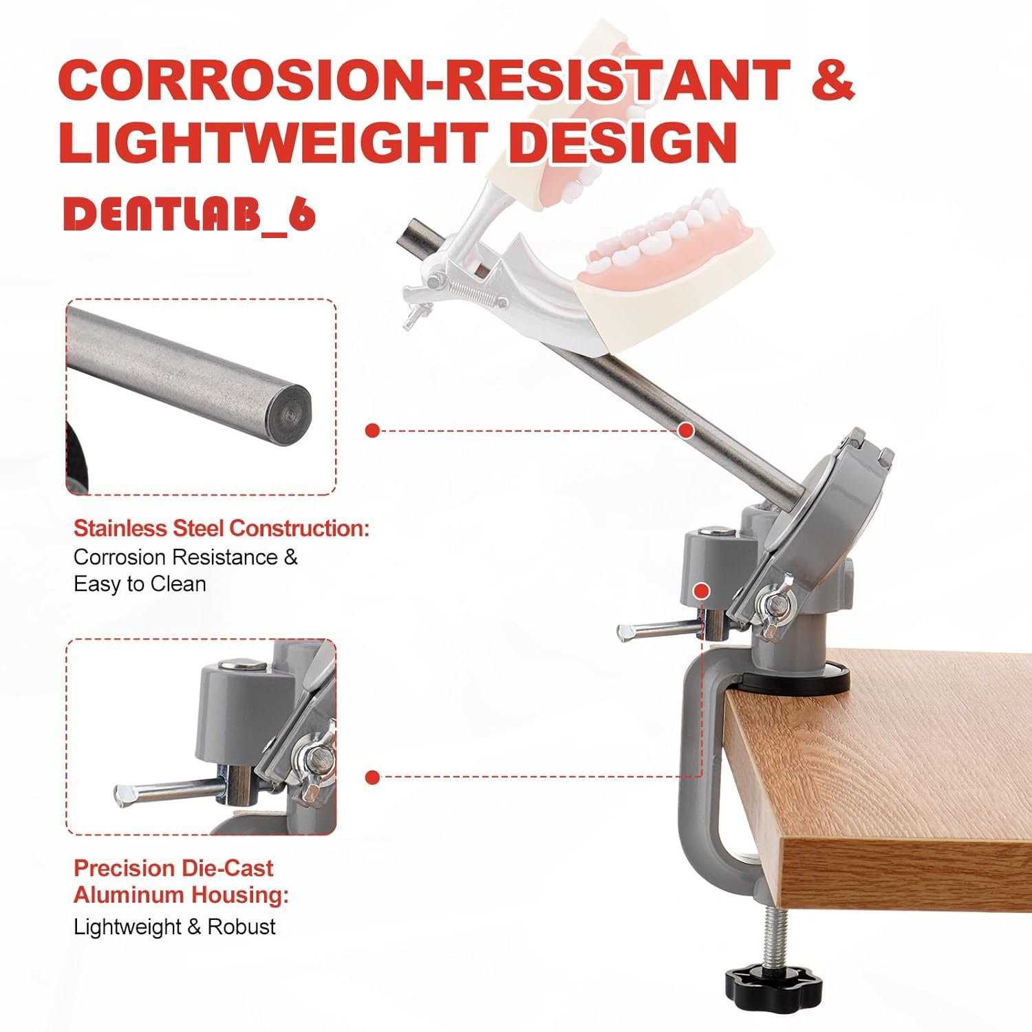 Dental Typodont Mounting Pole Teeth Model 360° Rotating not Teeth Model New