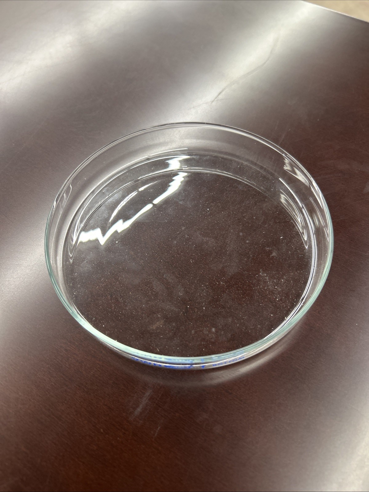VWR 150mm Glass Petri Dish, Lot Of 8