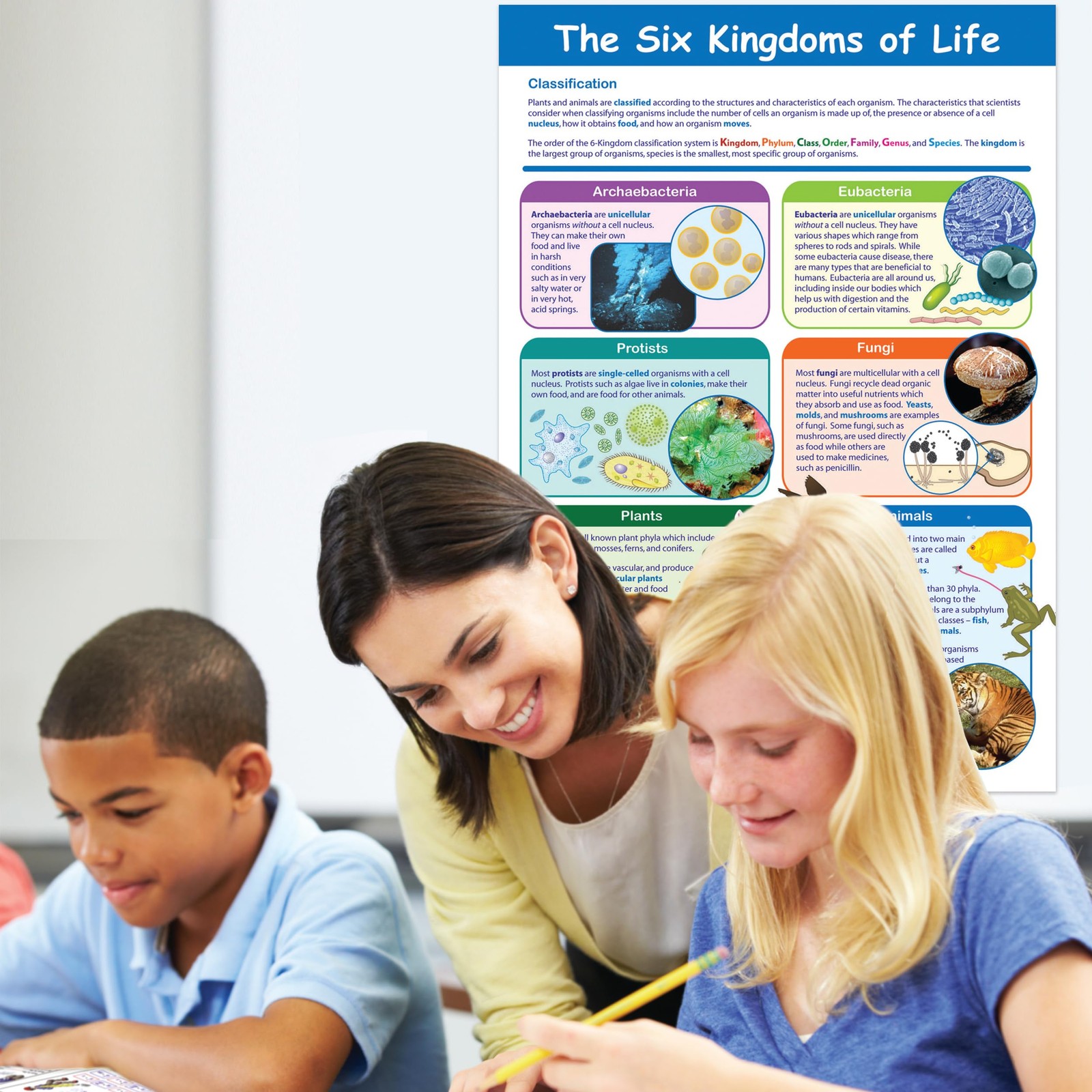 Newpath Learning-34-6112 The Six Kingdoms Of – 23 X 35