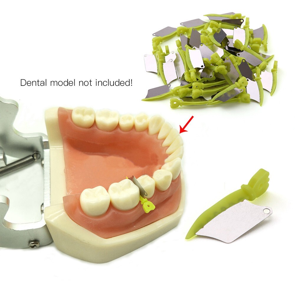 Dental Fender Interproximal Wedges Matrix Blade Guard with Metal Small 50pcs/Box