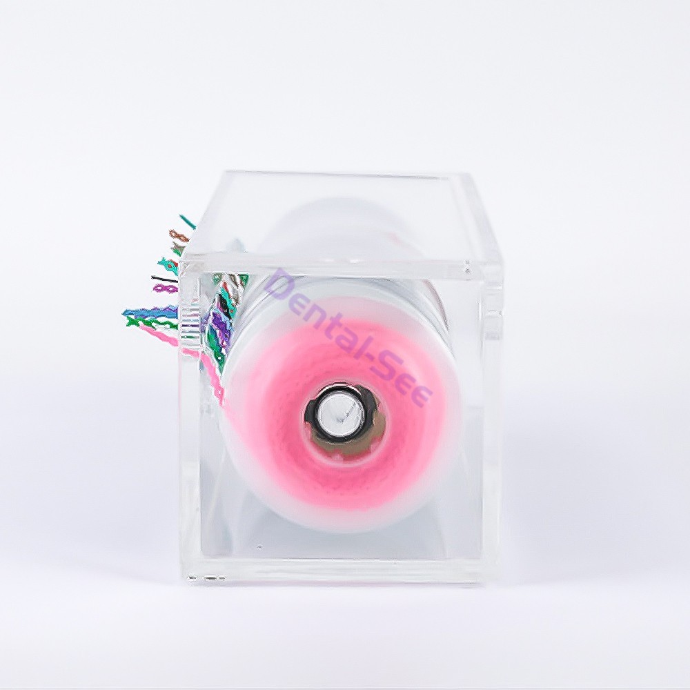 Dental Orthodontic Power Chain Box Acrylic Dispenser Placing Holder Case USA