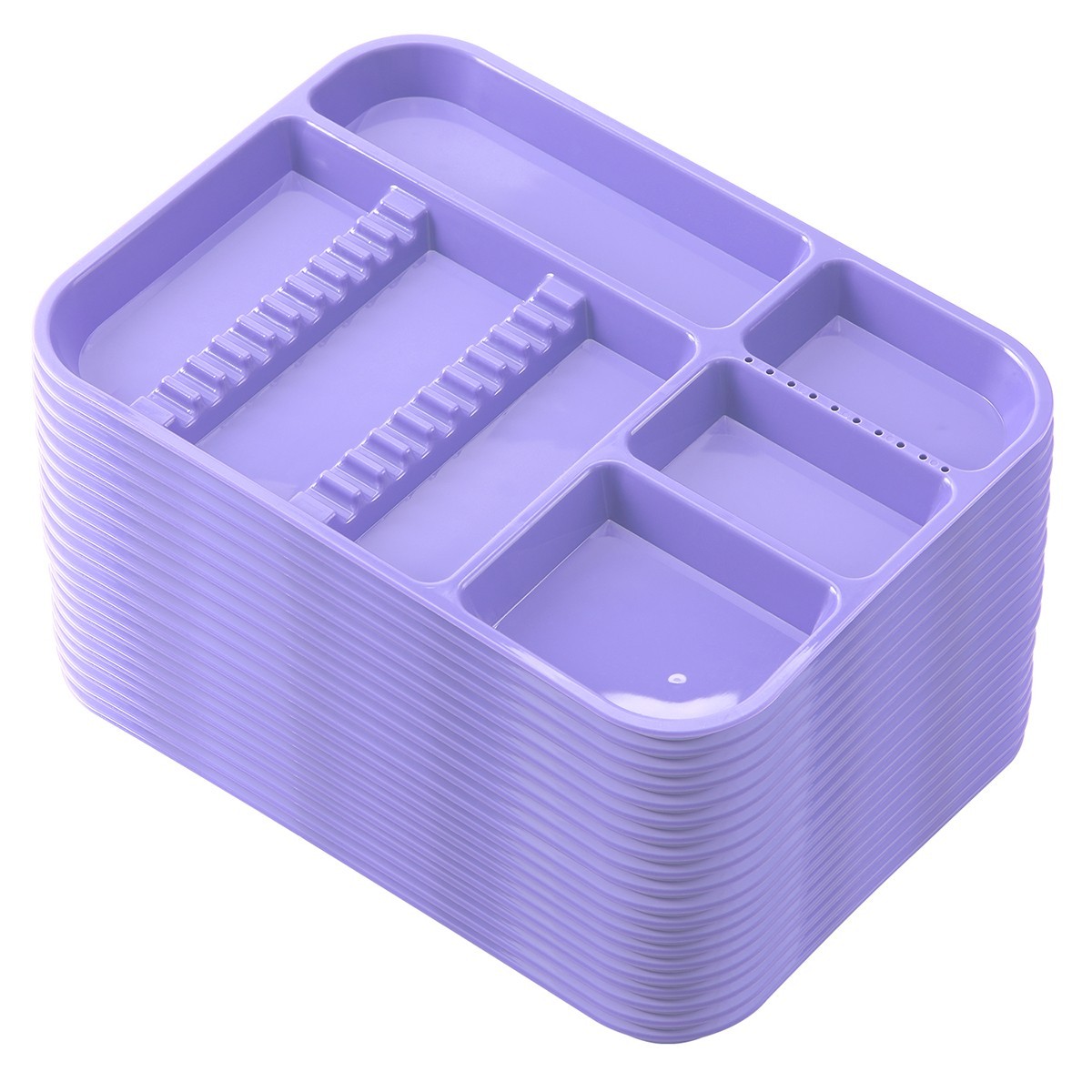 Dental Medical Autoclavable Plastic Trays Instrument Divided Separate Setup Tray