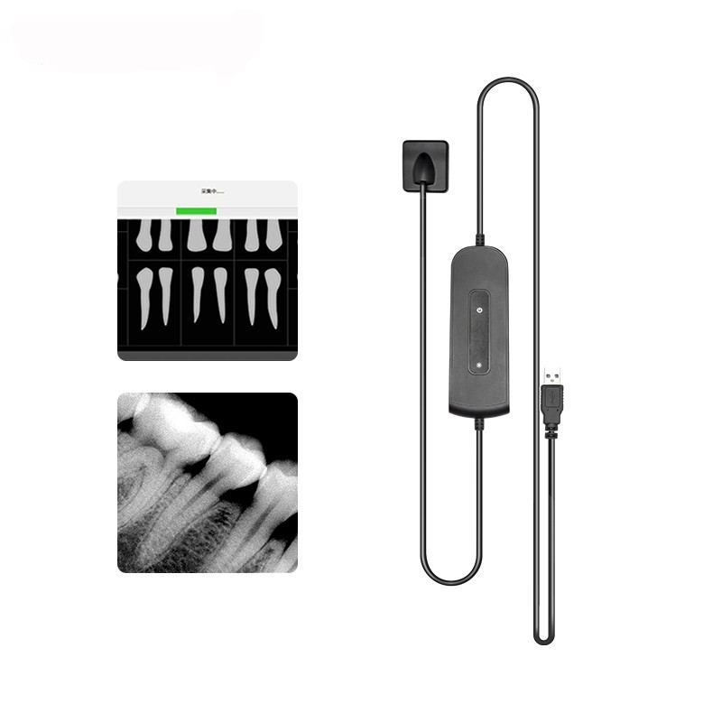 1 year Warranty Dental Sensor Portable Sensor Digital Sensor HD Dental Lab Tools