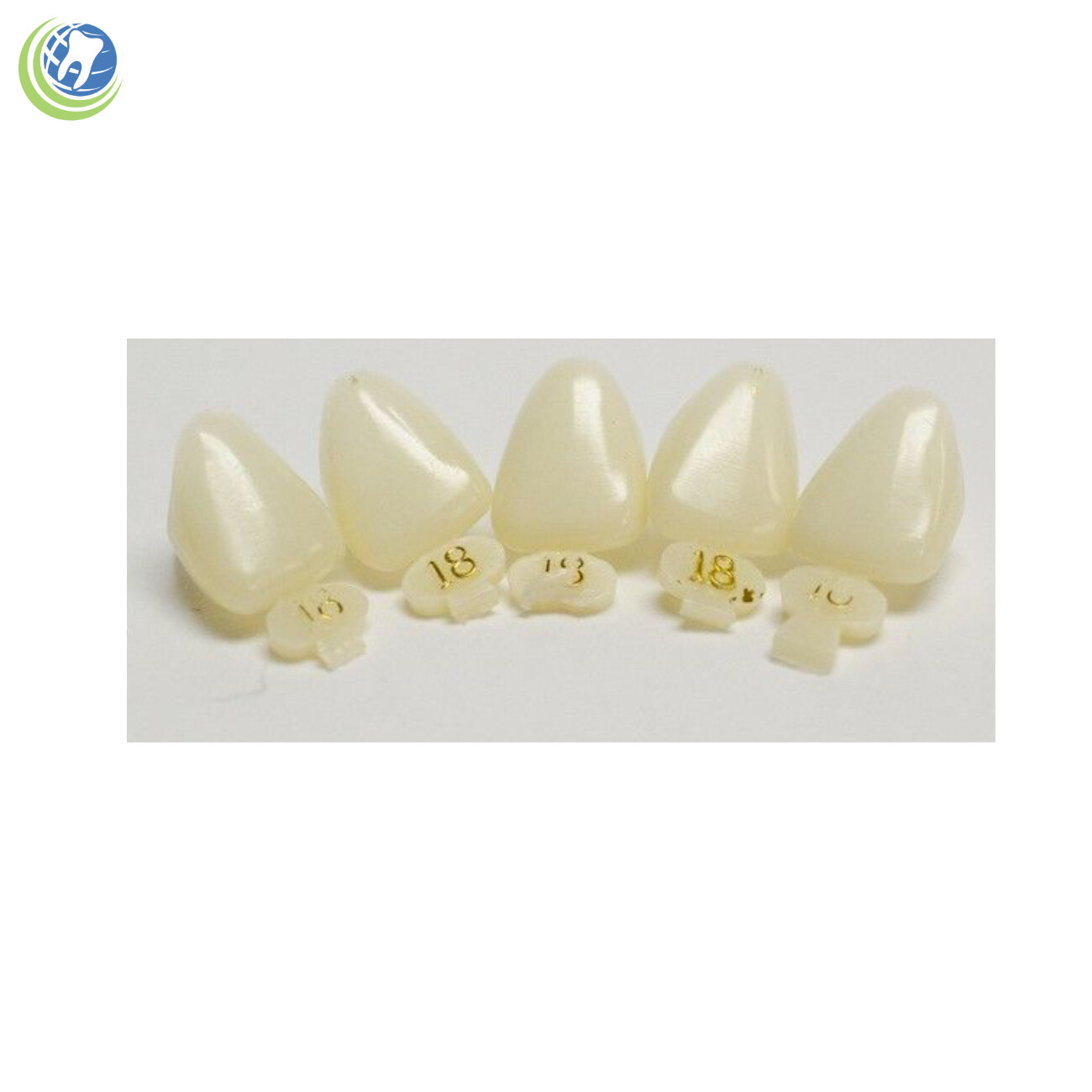Tooth #9 Upper Left Central Anterior (ULC) Polycarbonate Temporary Crown Refills
