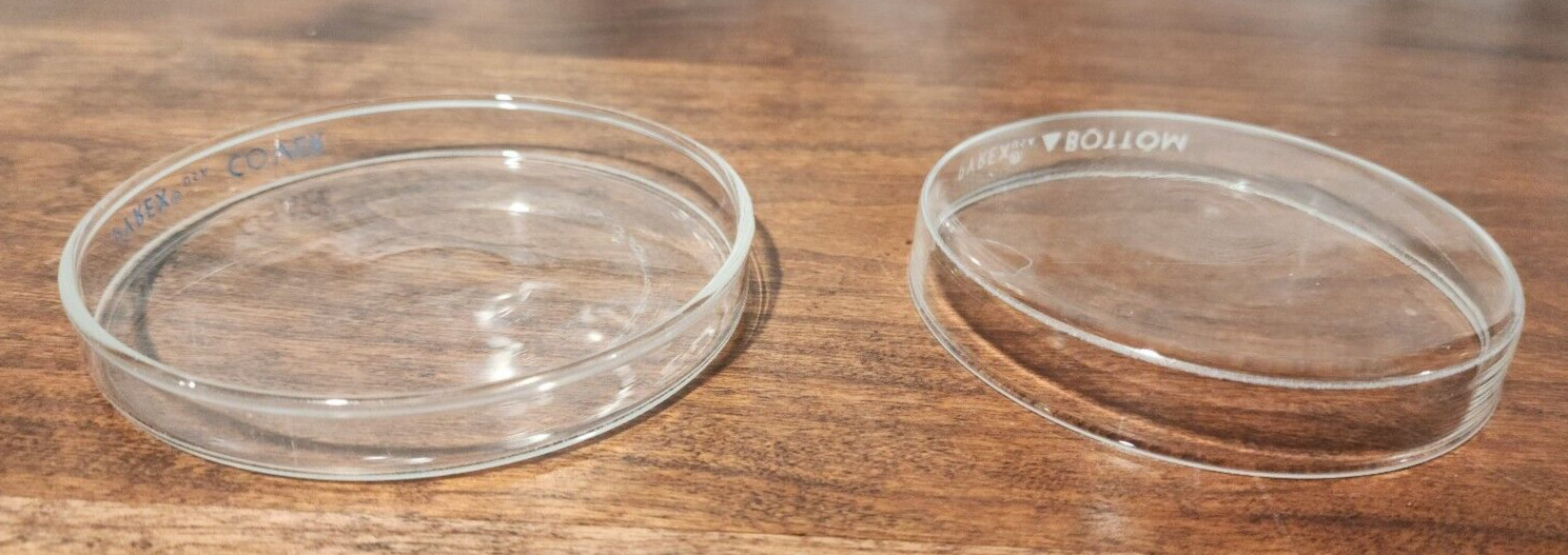 PYREX Glass Petri Dish 100mm x 10mm Cover & Bottom Reusable Pick Quantity USA