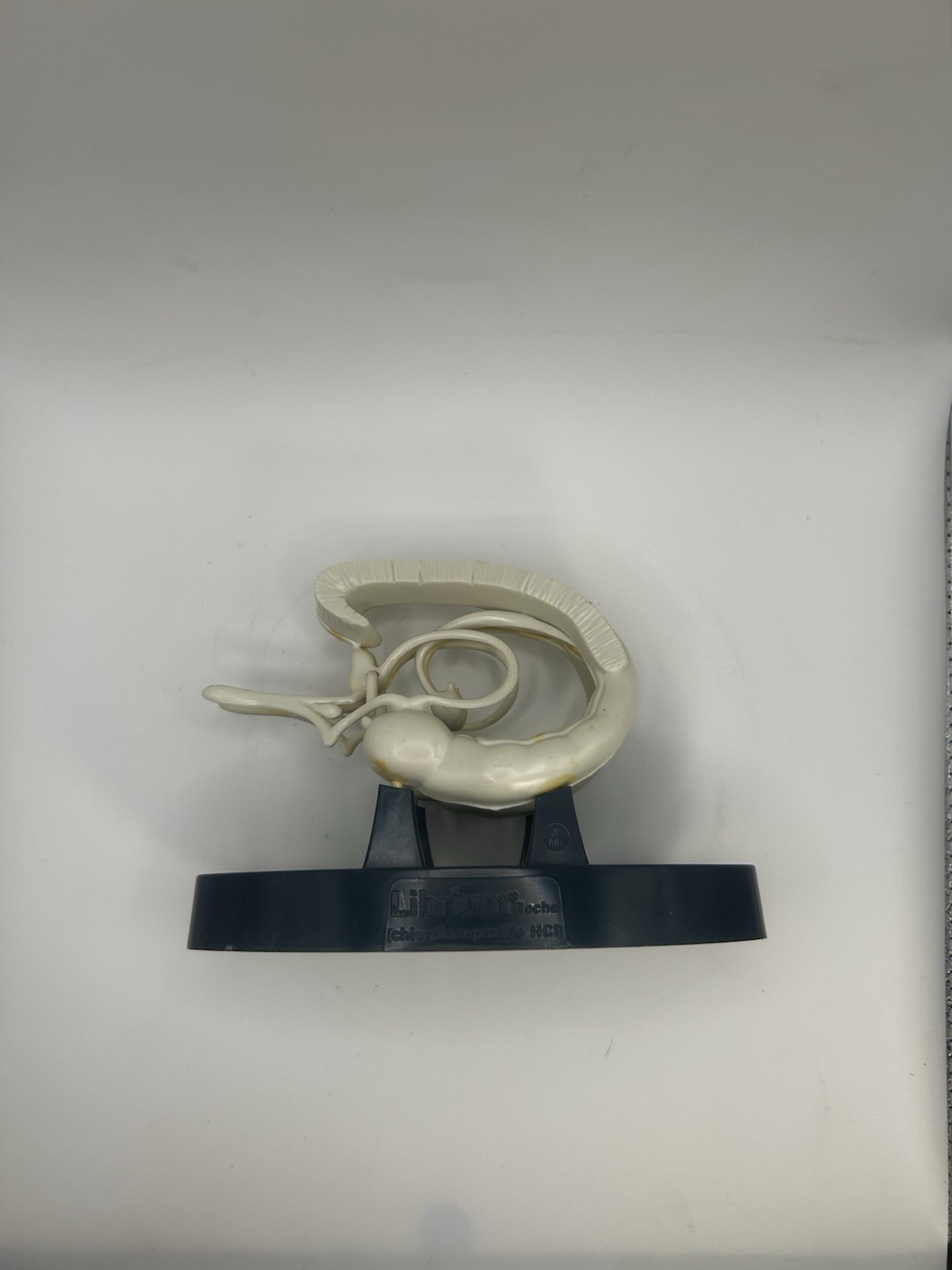 Vintage Roche Librium Brain Anatomical Model Medical Advertising Display Rare 3D