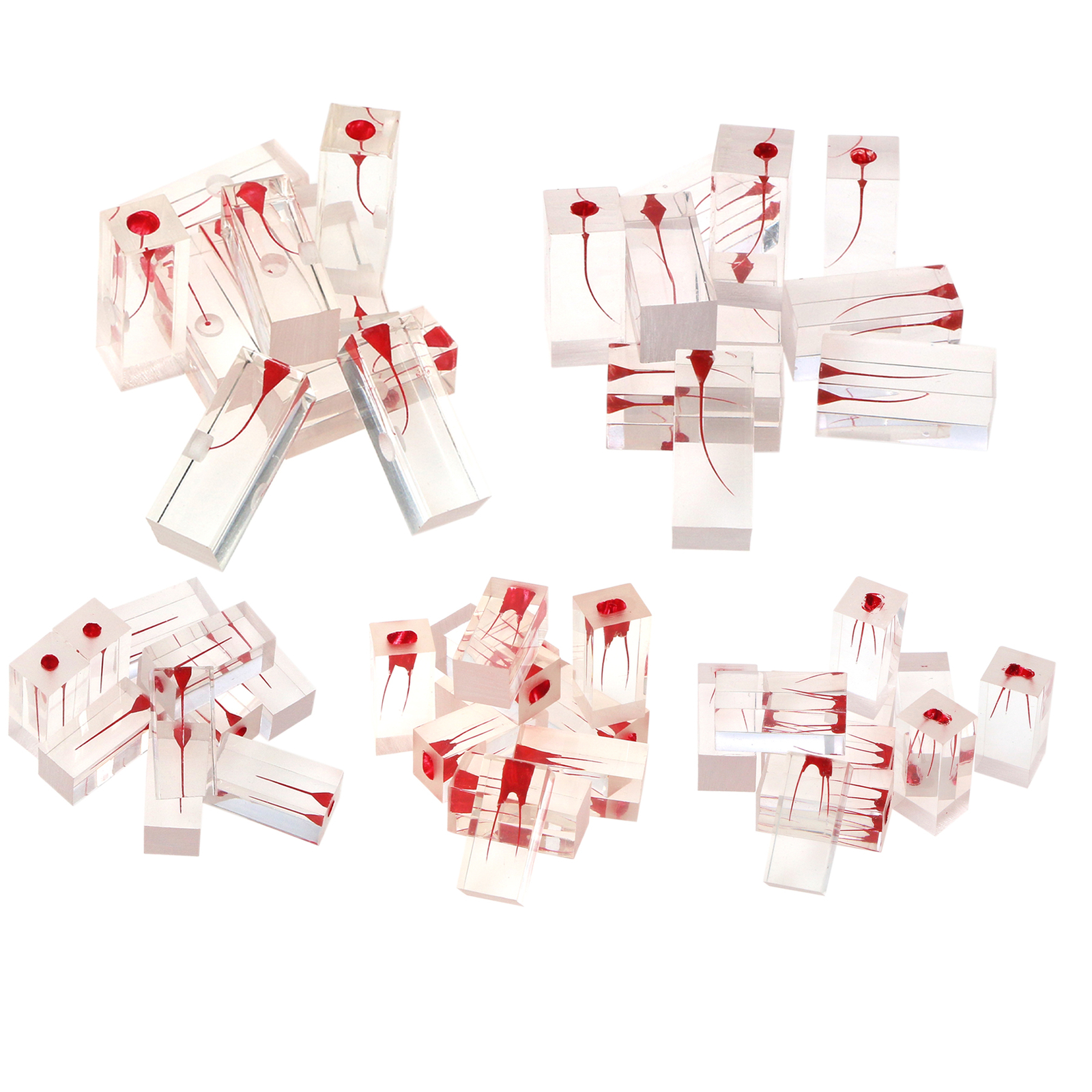 10Pcs Dental Endo Root Canals Teeth Model Practice Block RCT Pulp Cavity Study