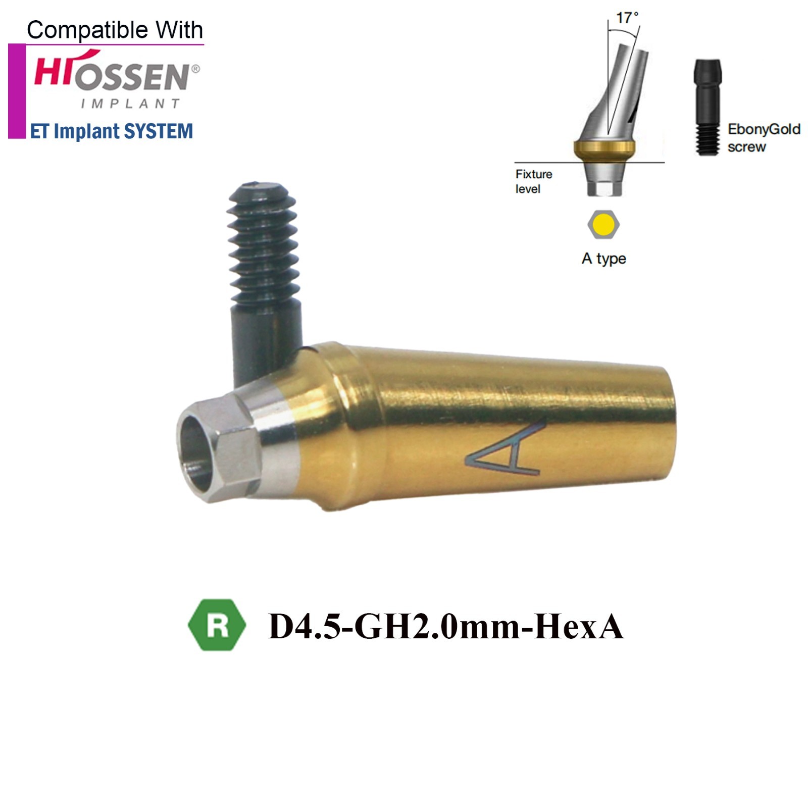 US Dental 17° Angled Anatomic Abutment Mini /Regular Fits Hiossen Osstem TS