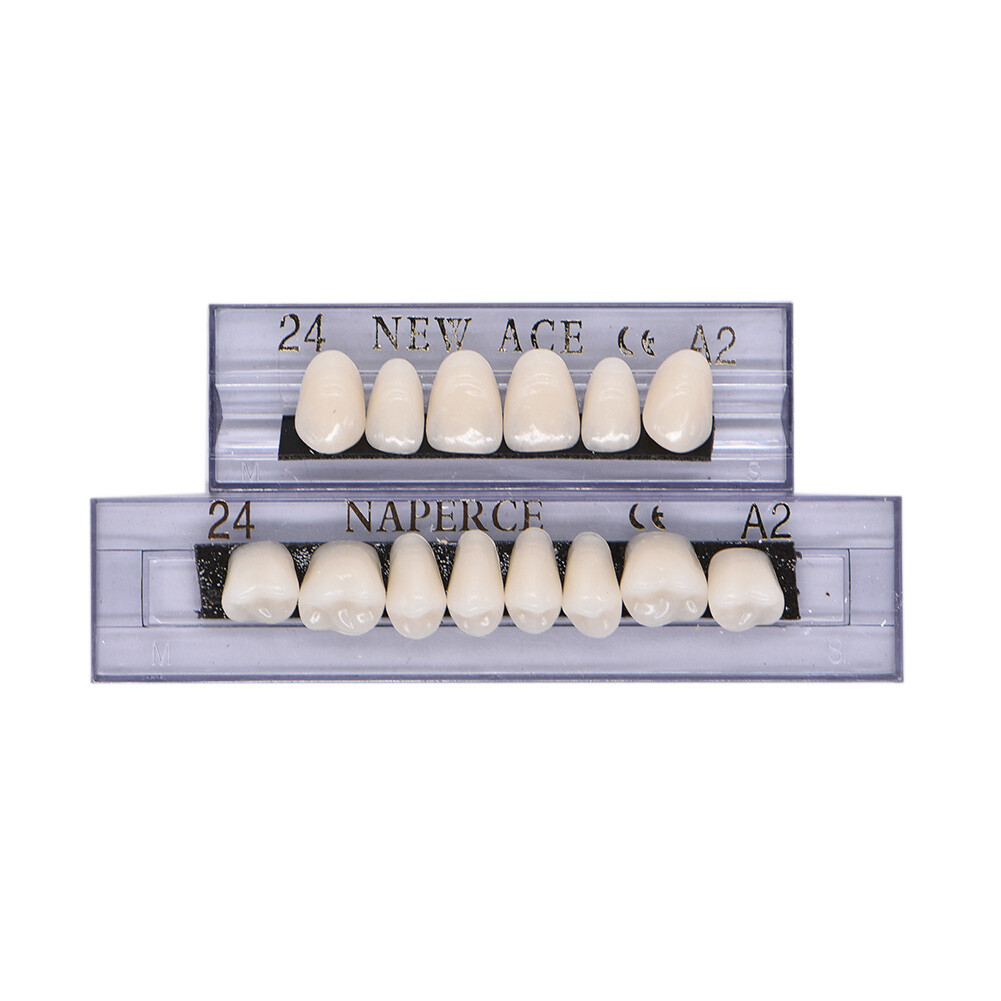 168Pcs/Box Acrylic Resin Denture #24 Dental Upper Lower Shade A2 Teeth Set USA