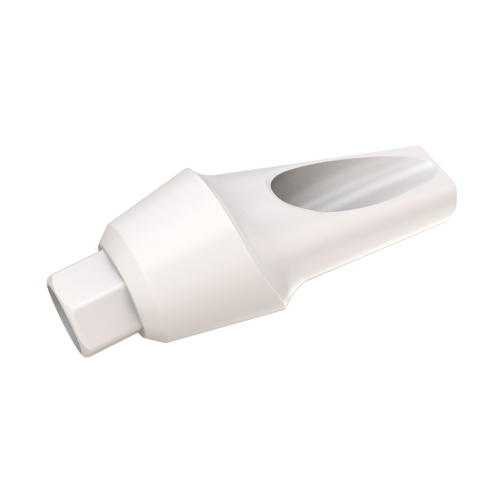 1pcs DSl Angulated Abutment Anatomic Peek With Screw 15° Internal Hex