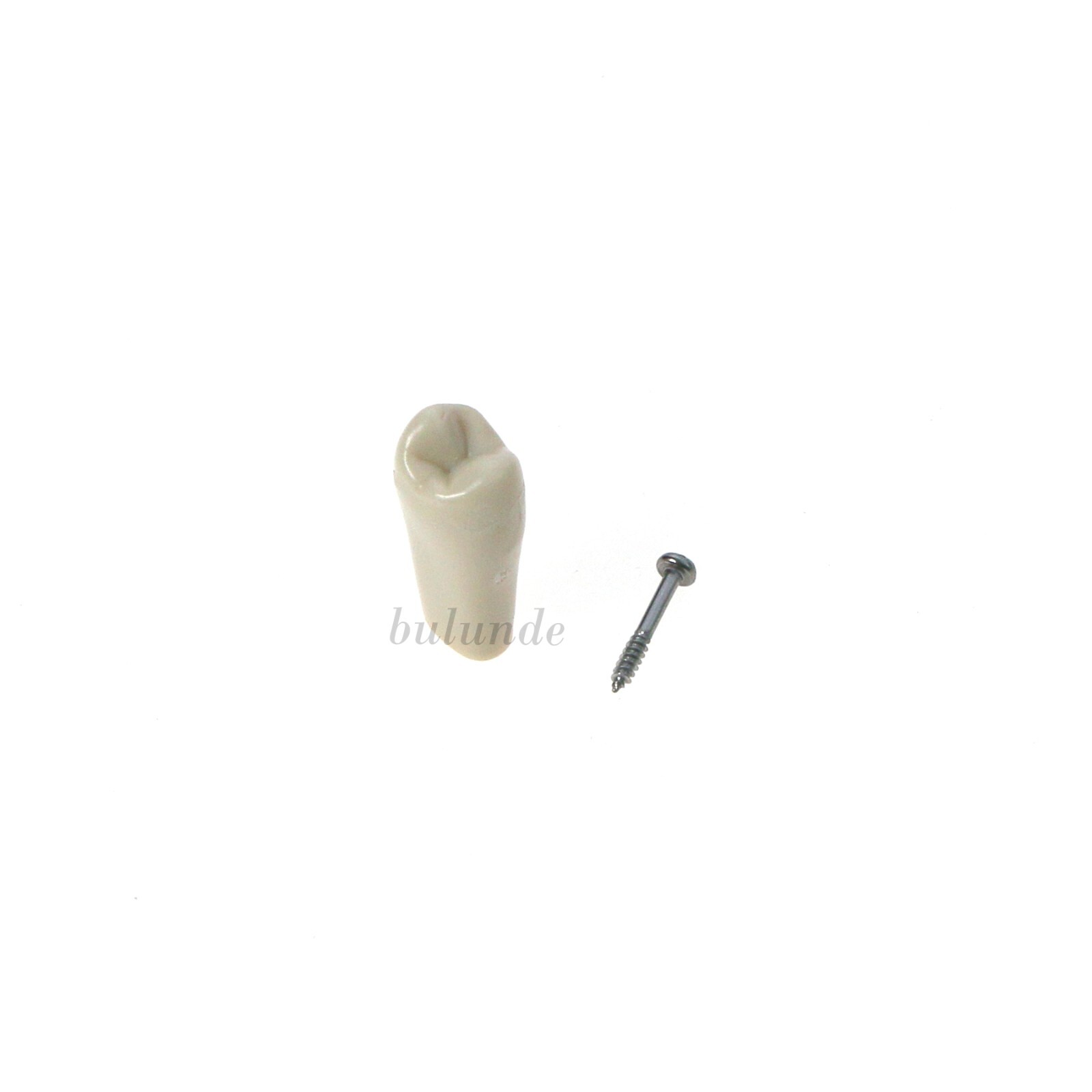Columbia Dentoform 860 Dental Typodont 32PCS Teeth Replacement Removable