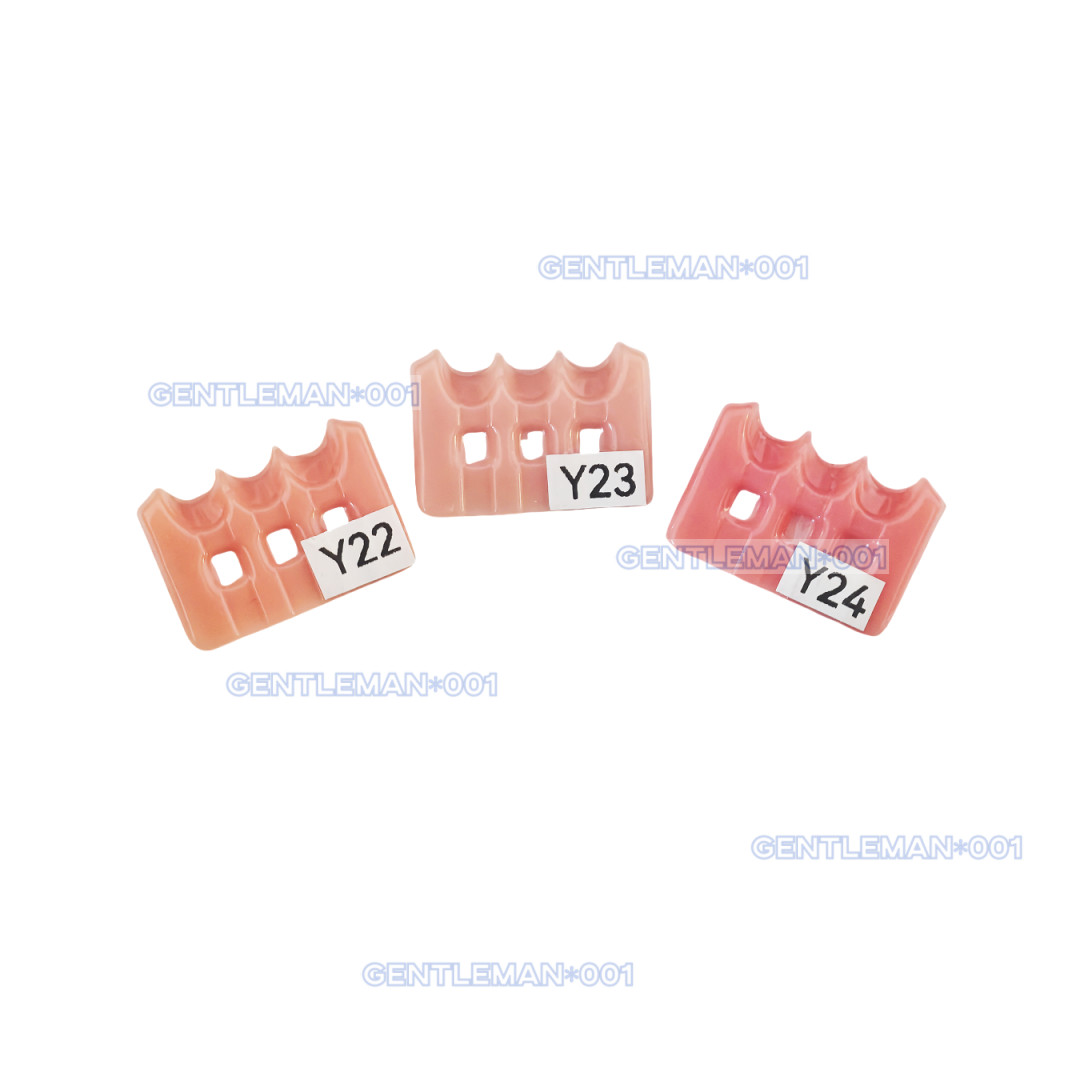 Gum Shade Gingiva Color Plate Indicator Tri-Color Gummy Model Similar SHOFU GC