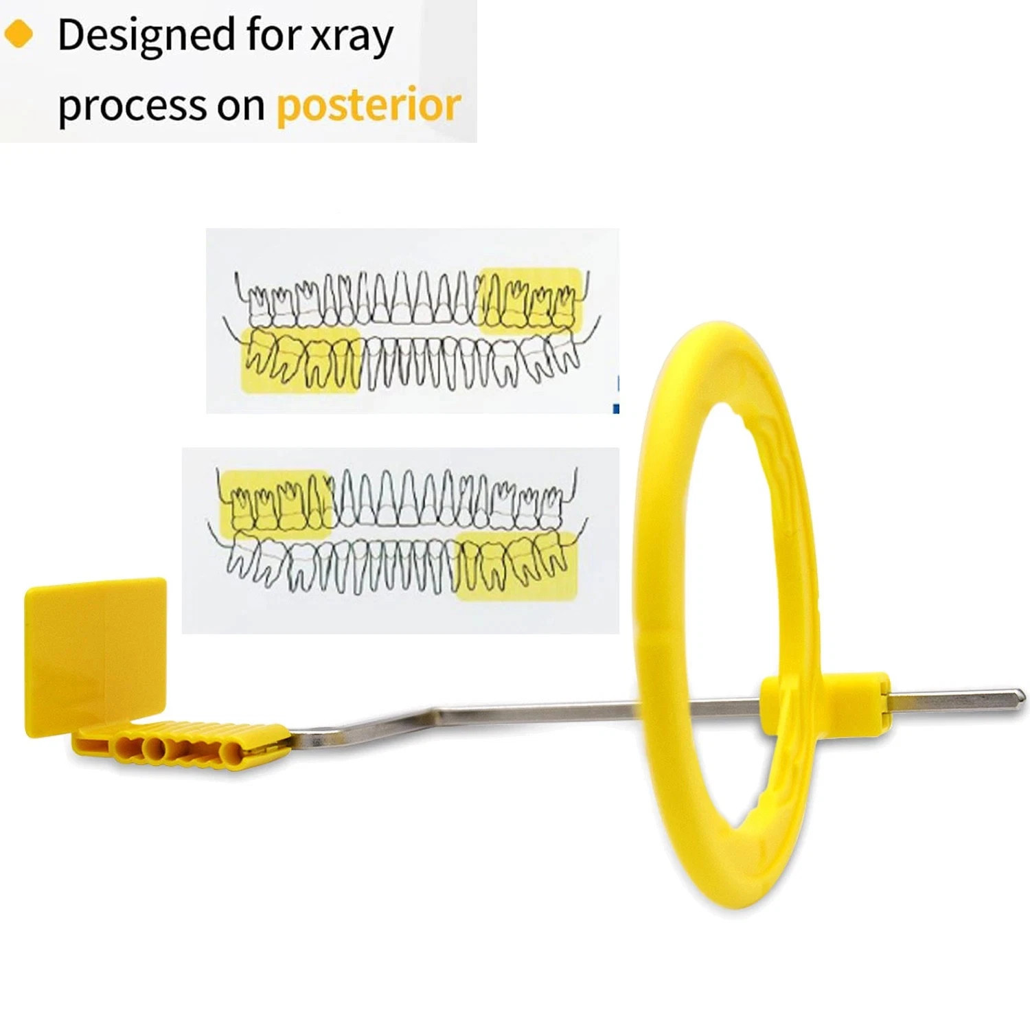 Dental Sensor Holder Adhesive Digital X-Ray Sensor Holder Posterior, Pack of 100