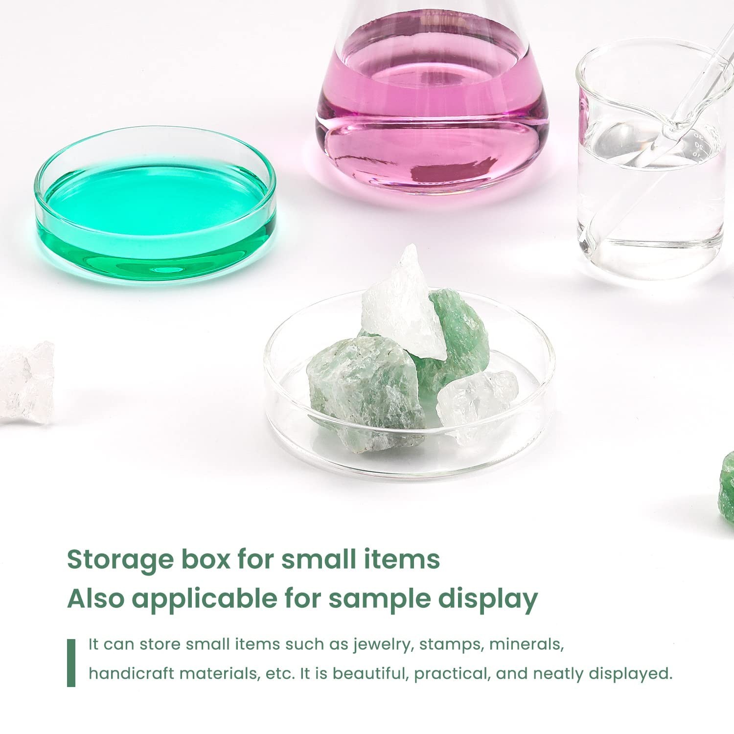 5-Piece 60mm Glass Petri Dish Set – Durable Borosilicate for Bacterial Cultures