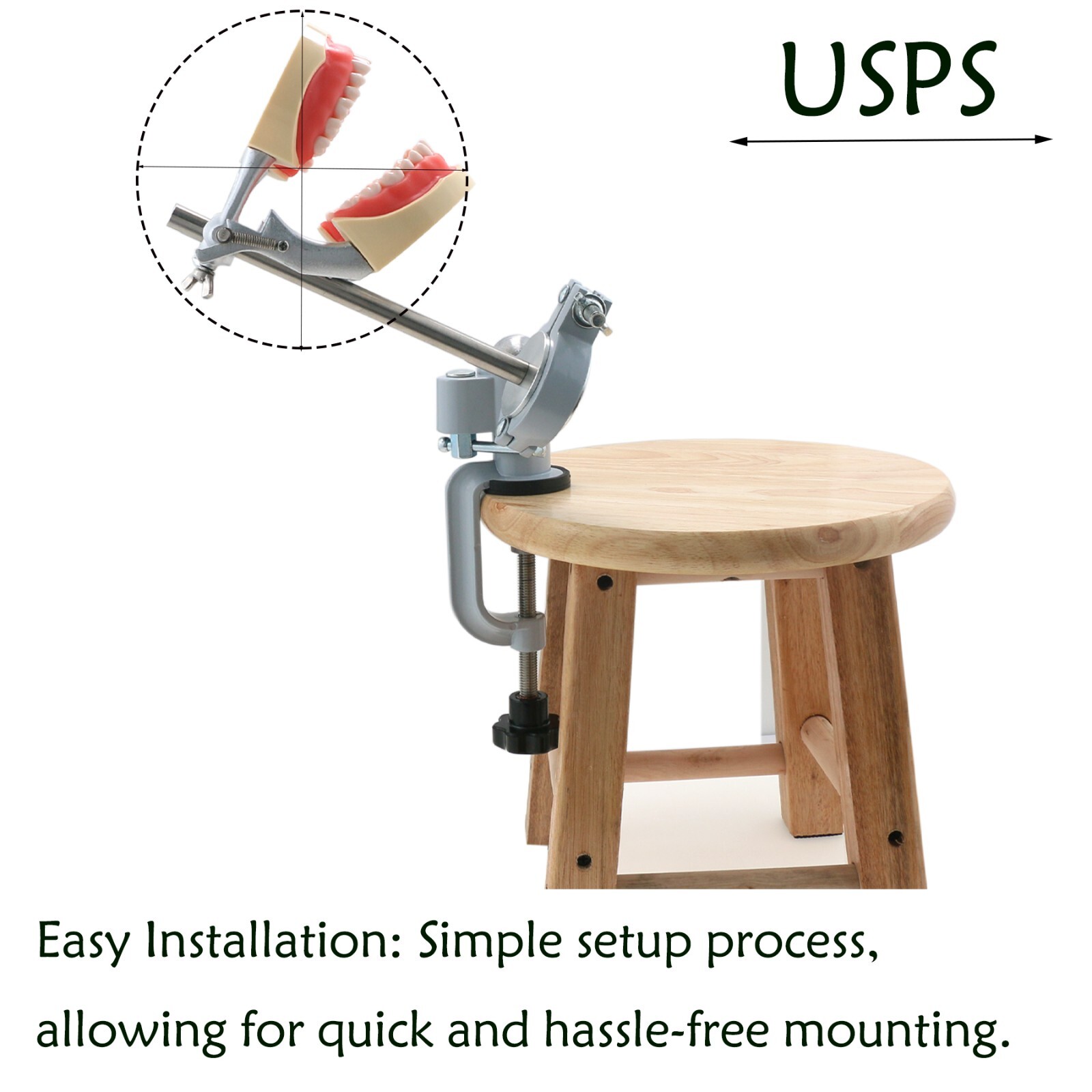 US Overdenture All-On-4/6 Implant /Ortho/Columbia 860/Kilgore NISSIN Teeth Model