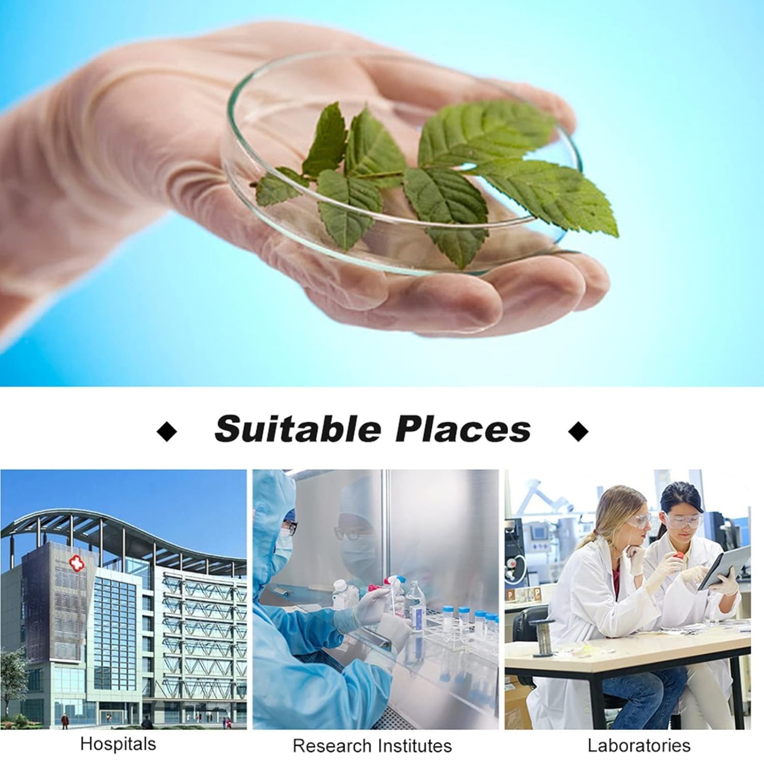 Sterile Plastic Petri Dishes with Lid Set for Lab