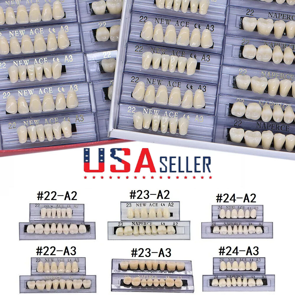 168X Acrylic Resin A1/A2/A3 Dental Denture Teeth Upper Lower Shade 22/23/24# US
