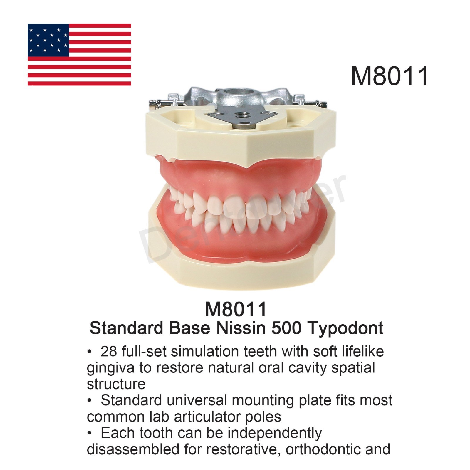 US Dental Typodont Model Mounting Pole Compatible with Columbia/Kilgore/Nissin