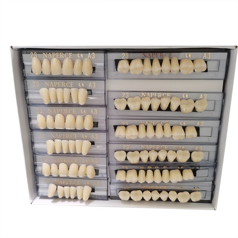 22# & 23# A3 Denture Acrylic Resin Teeth Dental Tooth Upper Lower Shade 168pcs*2