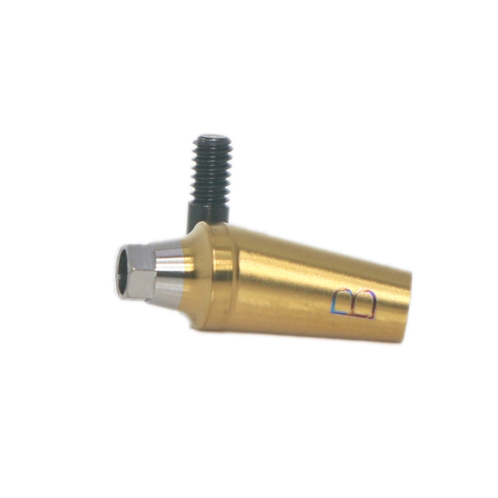 Angulated Anatomic abutment 30°Mini/Regular B Type for Hiossen Osstem TS Implant
