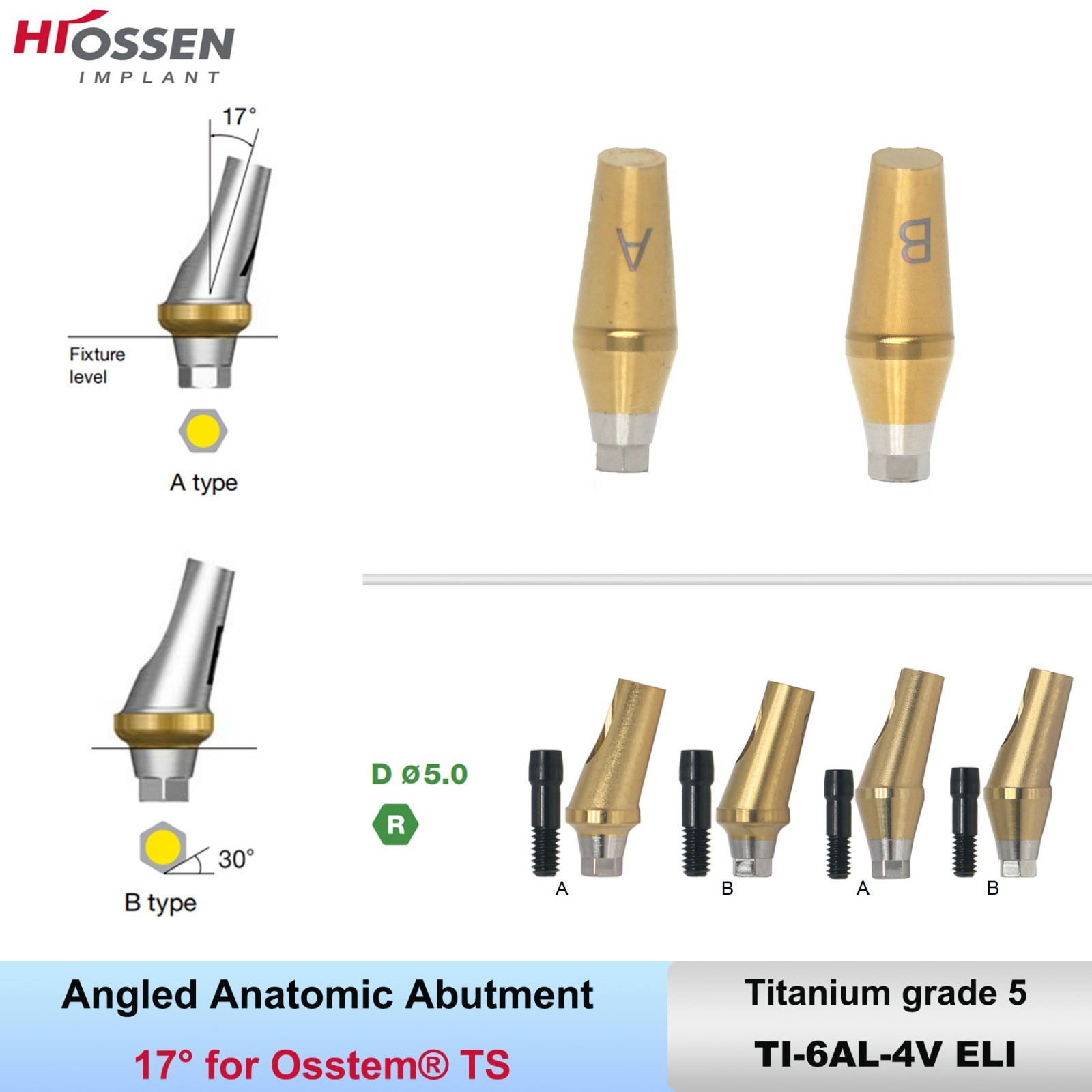 US 17° Dental Angled Anatomic Abutment Hiossen/Osstem TS Mini/Regular Platform