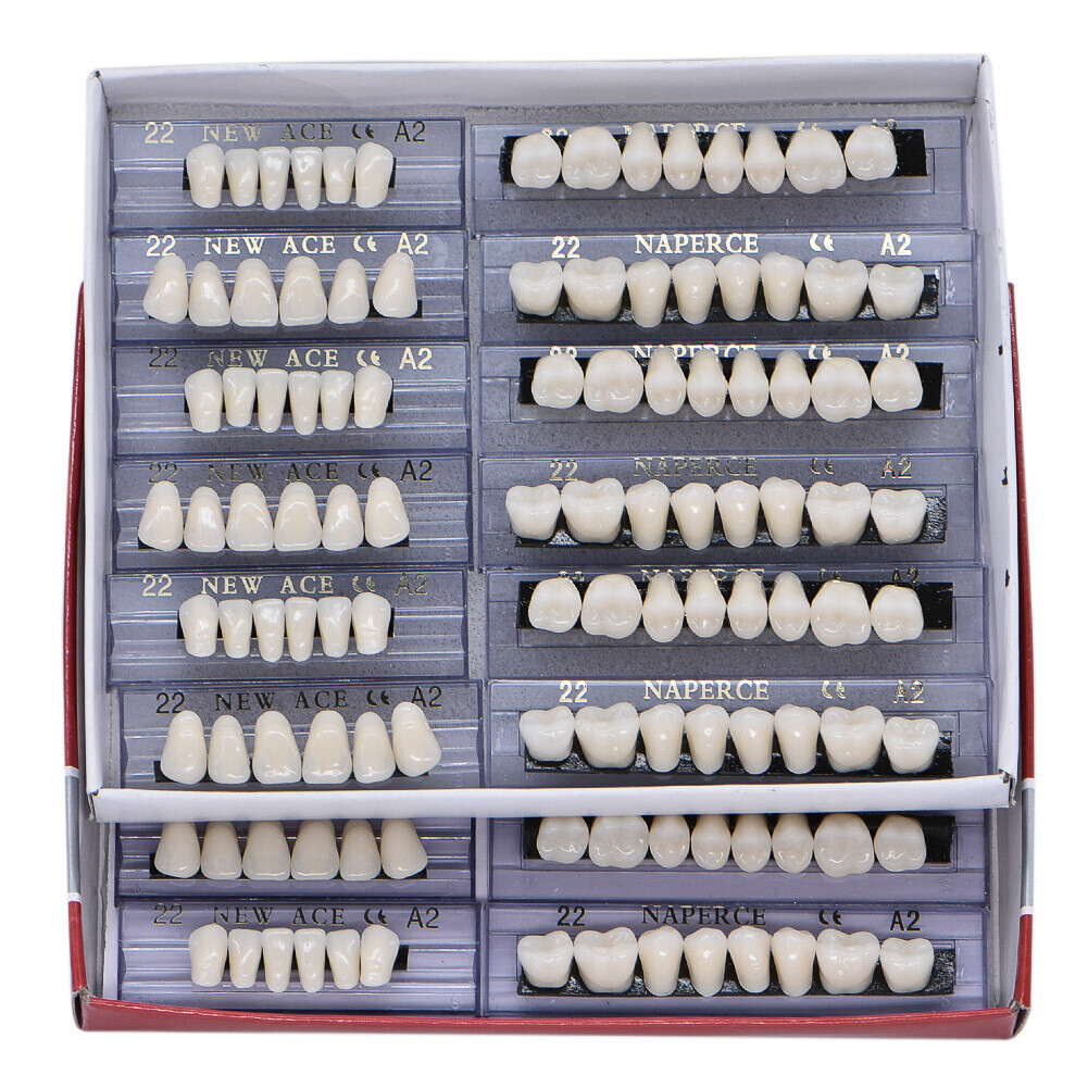 Dental Acrylic Resin Denture #22/23/24 Upper Lower Shade A2/A3 Teeth Set 168Pcs