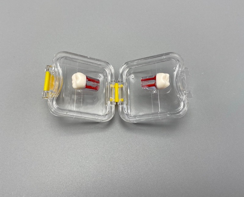 Denture False Inlay Teeth Membrane Case Box Fragile Hinged Display Jewelry Boxes