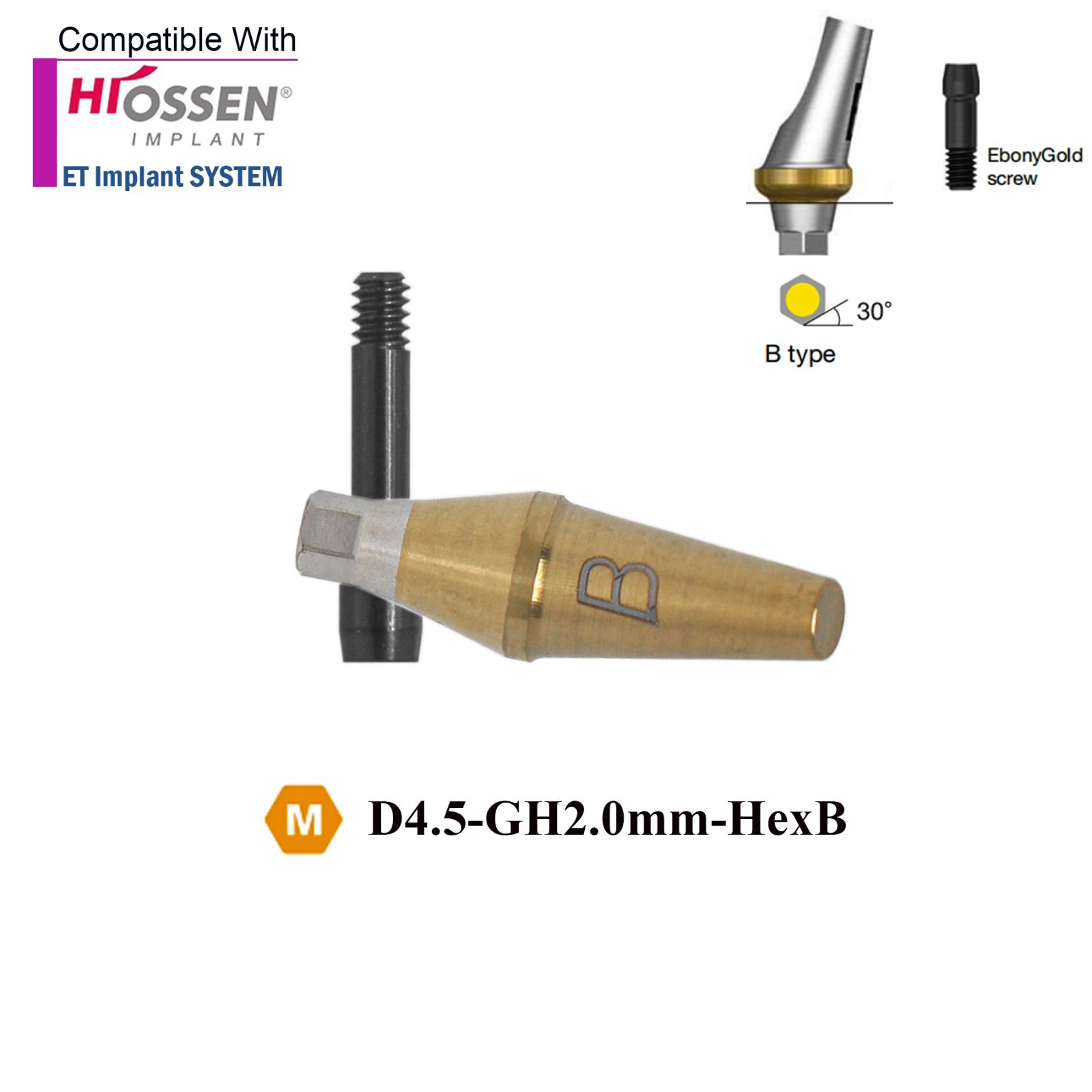 Angulated Anatomic abutment 30°Mini/Regular B Type for Hiossen Osstem TS Implant