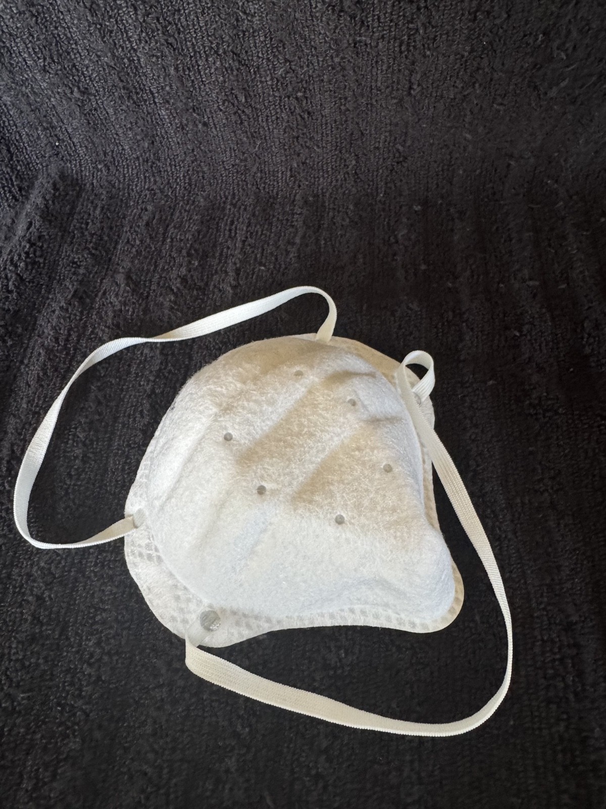 200 Count N95 Disposable Mask DC300N95B