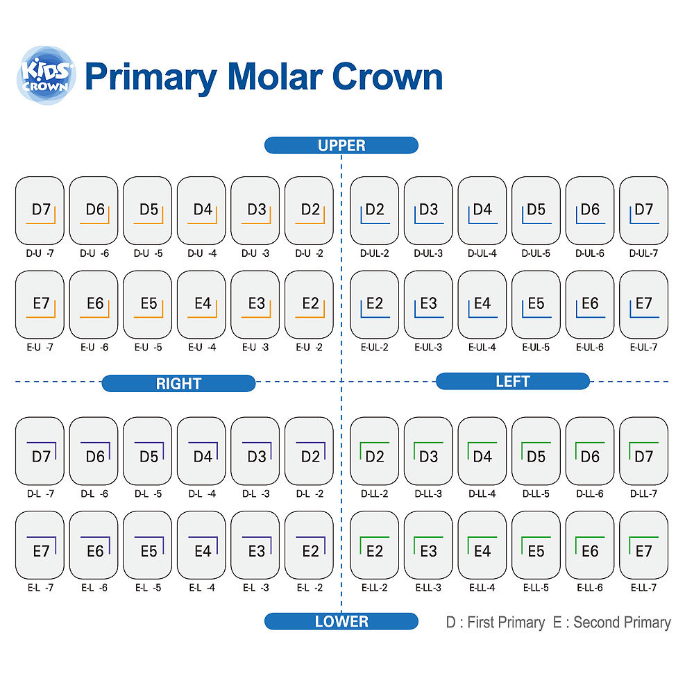 (5 refill) Stainless Steel Primary Molar Crown Kids Crown Compatible all size