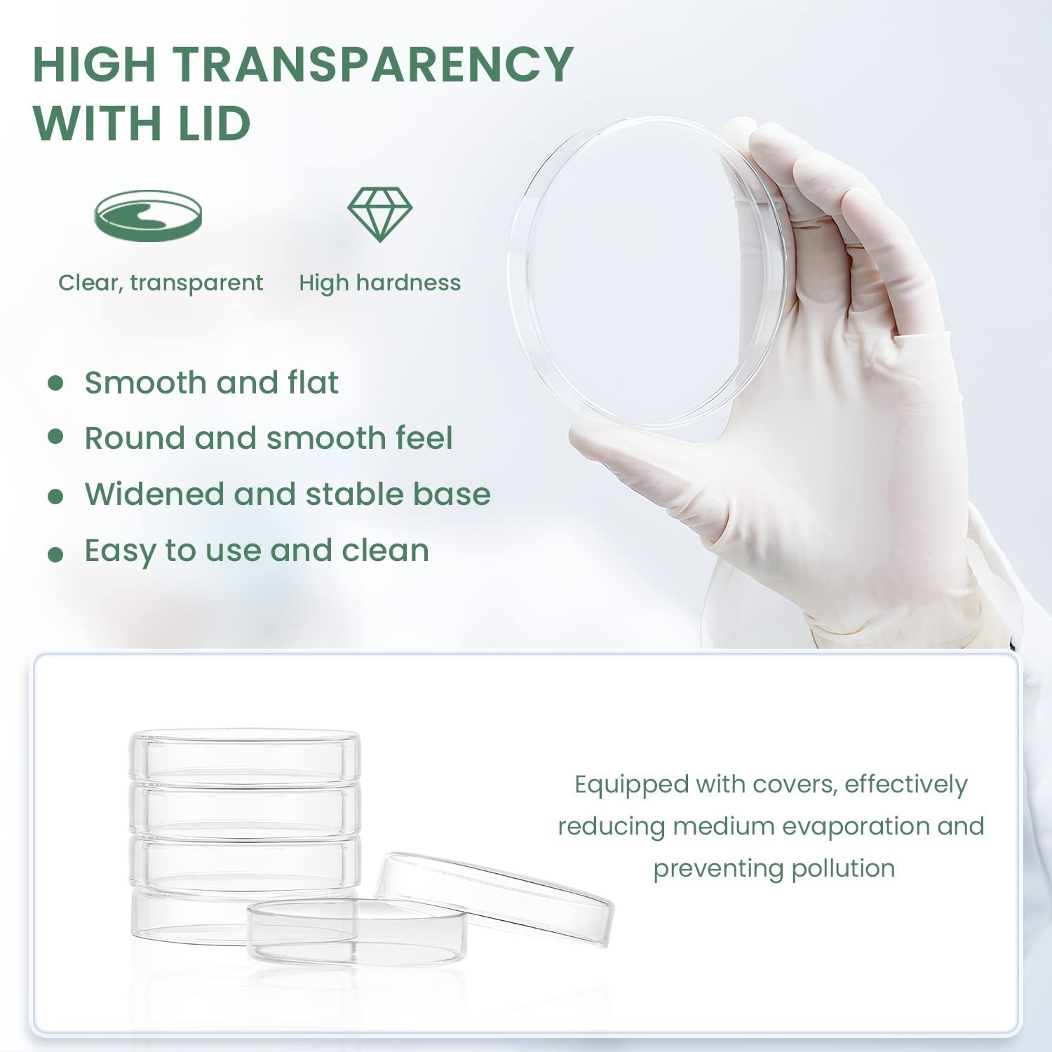 5-Piece 60mm Glass Petri Dish Set – Durable Borosilicate for Bacterial Cultures