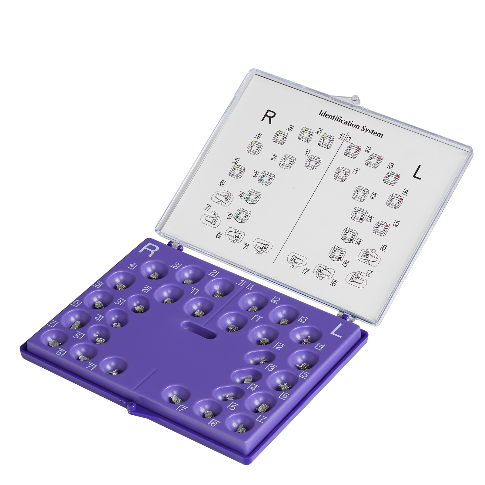 ETERFANT Dental Orthodontic Self-Ligating Bracket Braces Roth 022 345Hooks+Tool