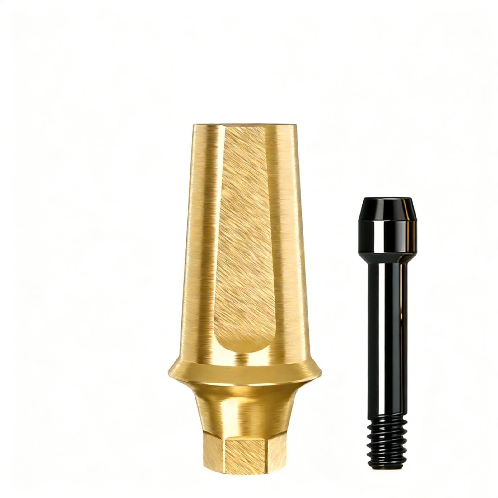 US Dental Titanium Straight Abutment Fit Hiossen System Restoration Mini/Regular
