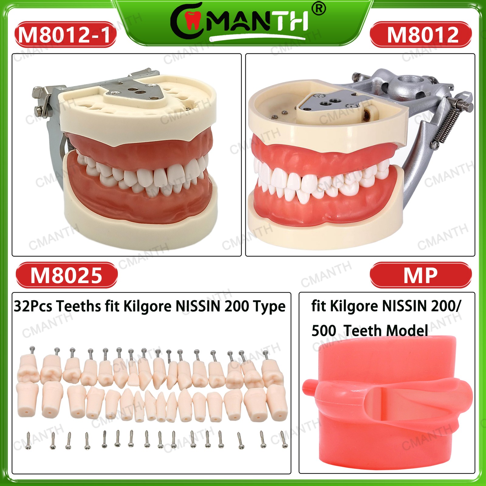 Multiple Types Dental Teeth Model Ortho Implant Practice Teaching Demo Model