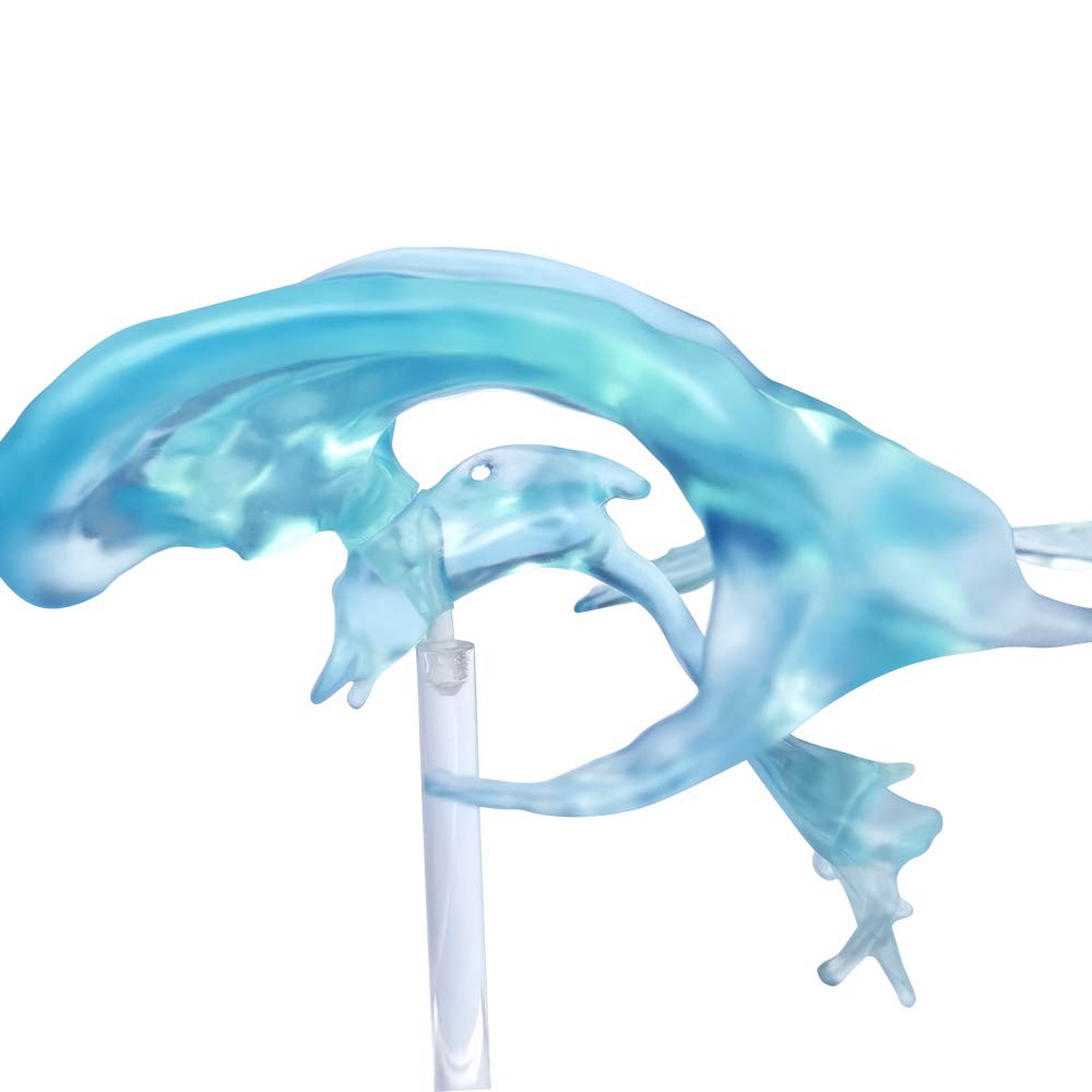 EVOTECH SCIENTIFIC Human Brain Ventricles Model for Medical Transparent