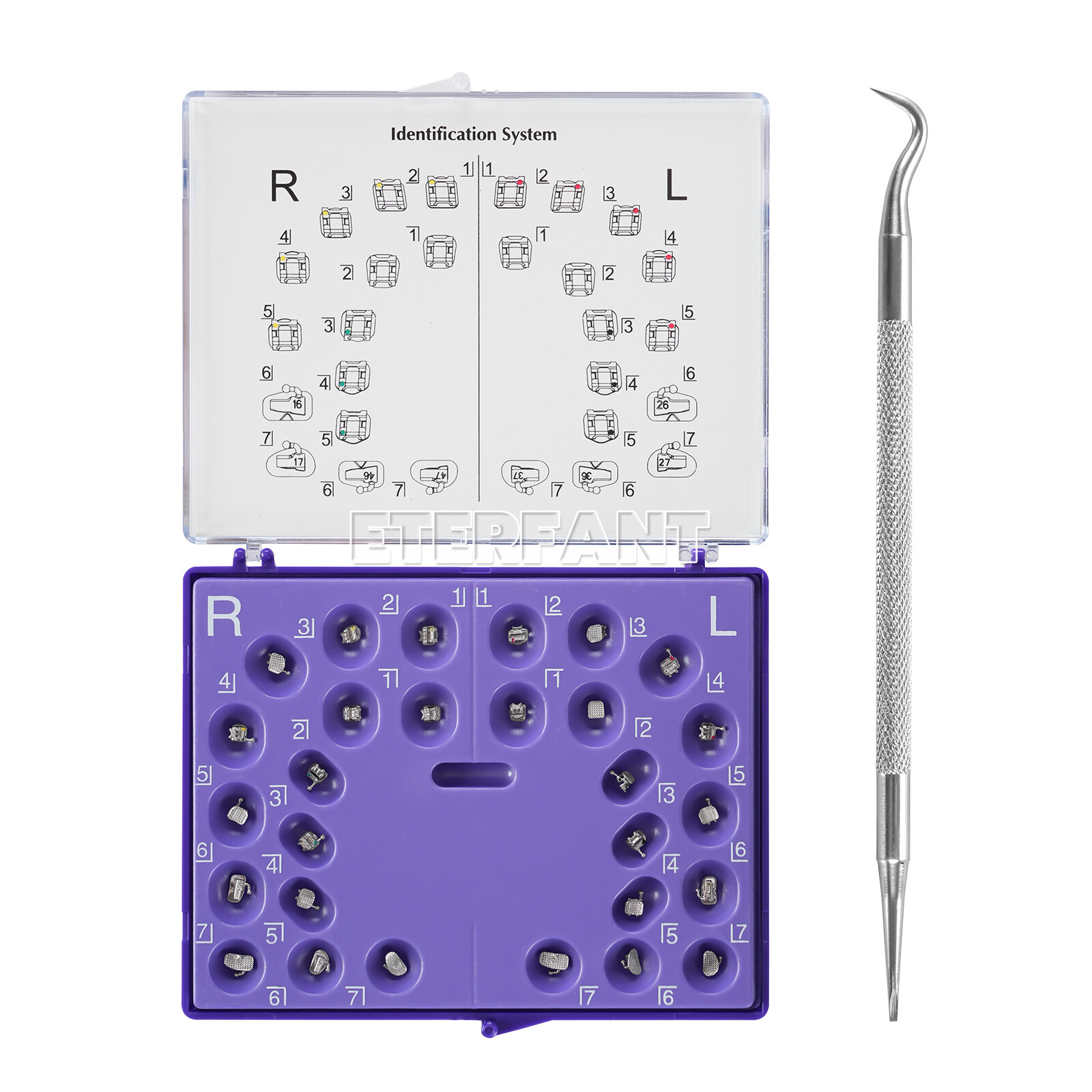 ETERFANT Dental Orthodontic Self-Ligating Bracket Braces Roth 022 345Hooks+Tool