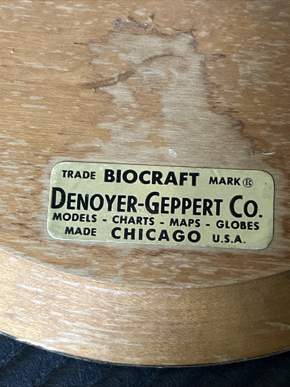 Vintage 14″ Heart Model – Biocraft Denoyer-Geppert – 3 Hinged Compartments READ