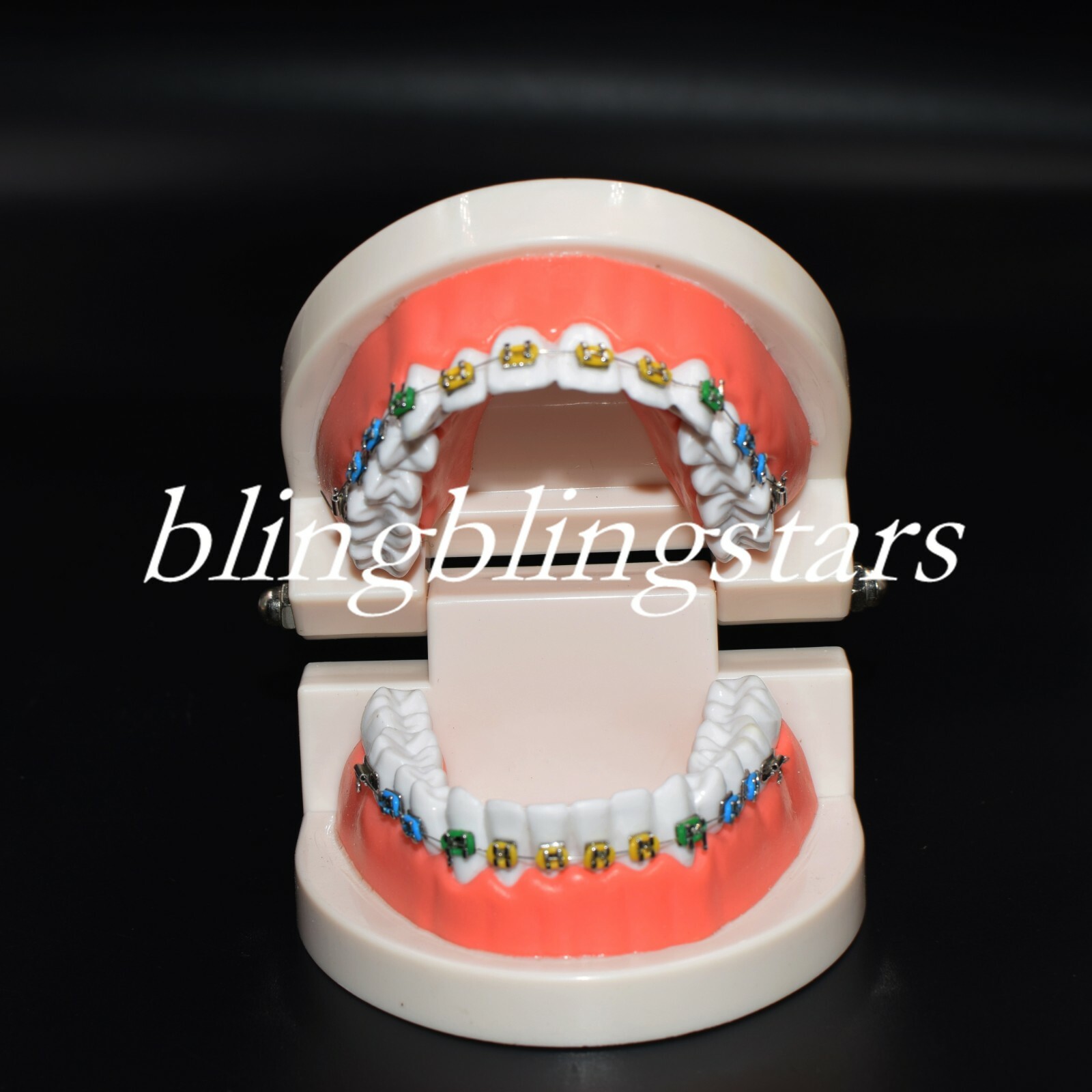 Dental Orthodontics Standard Tooth Model Bracket Ligature Buccal Tube Ties