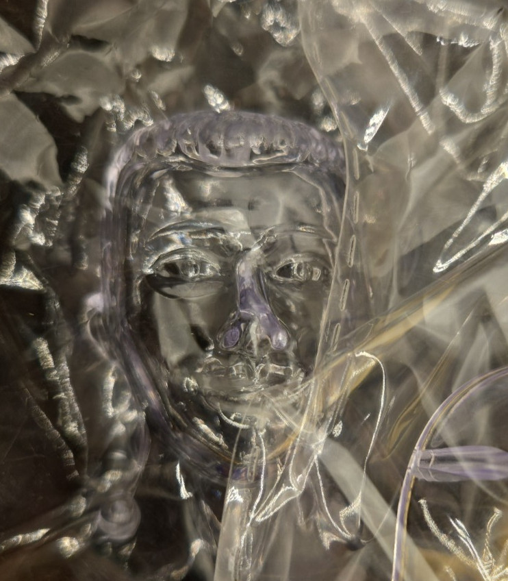 Human Body Model With Removable Organs Bones