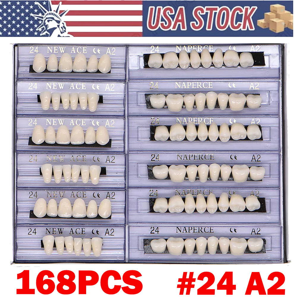 168Pcs Acrylic Resin Denture #24 Dental Upper Lower Shade A2 Teeth Set NEW