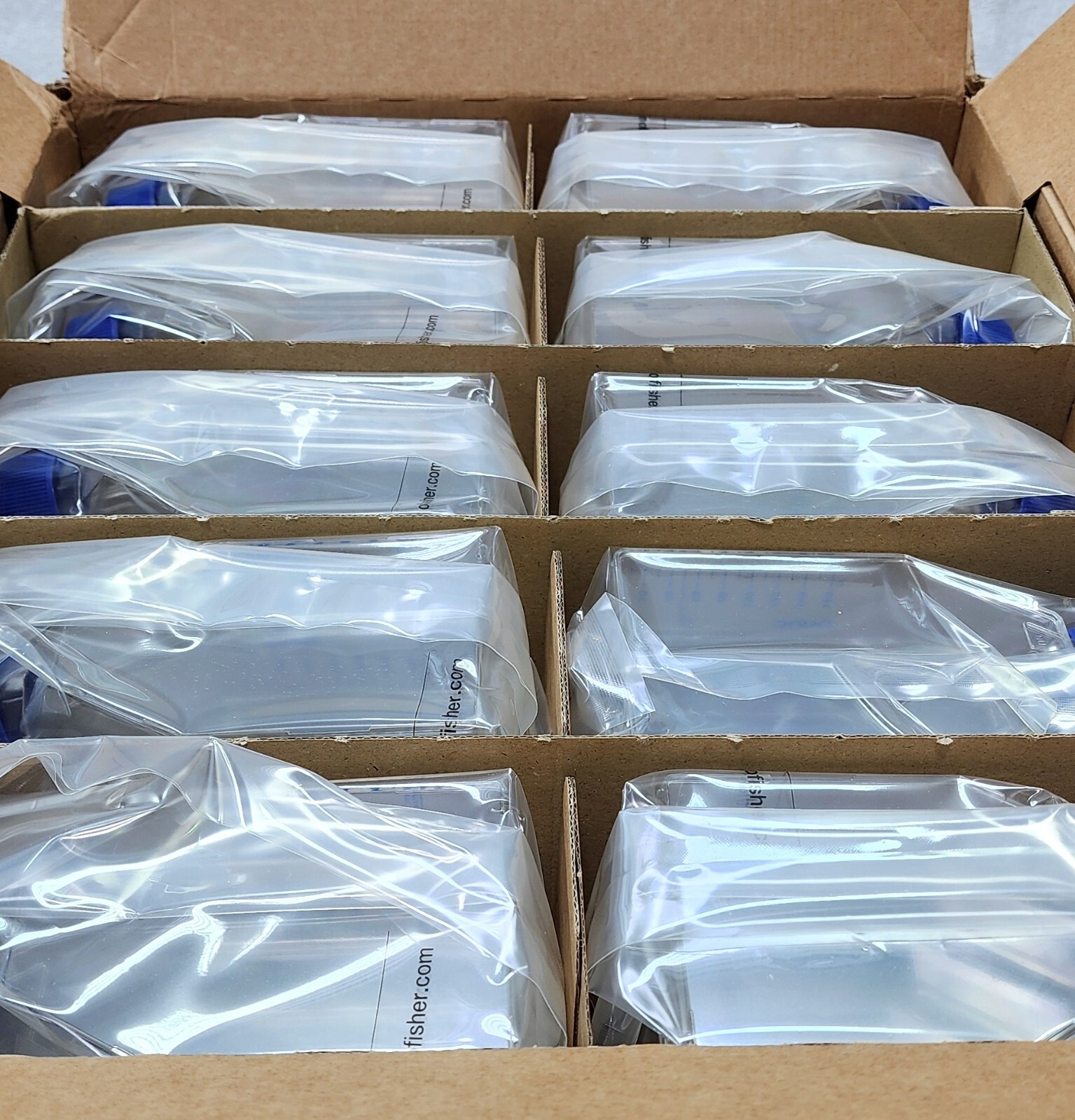 Thermo Scientific Nunc EasyFlask Cell Culture Flasks 75cm2 w/ Filter Cap/ 100cs