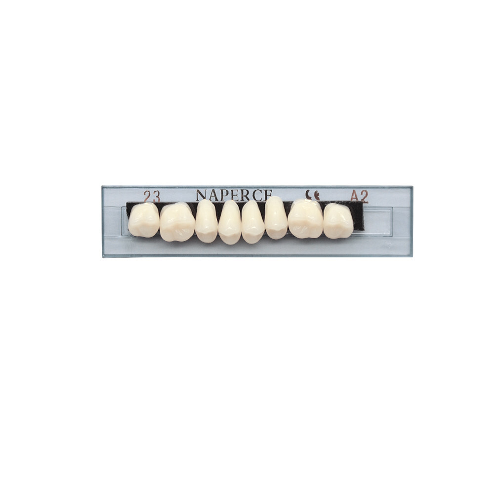 168Pcs/Box Acrylic Resin Denture #23 Dental Upper Lower Shade A2 Teeth Set US