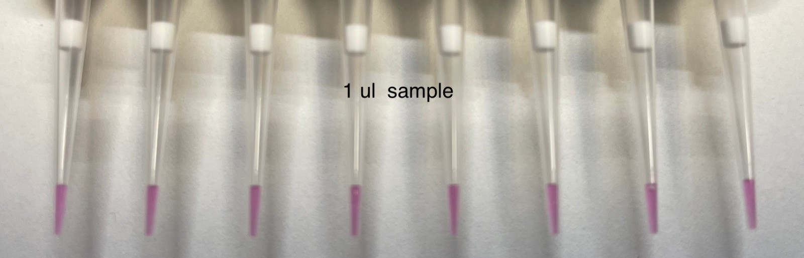 Thermo scientific 8-channel Finnpipette F2 Pipettor 1-10uL