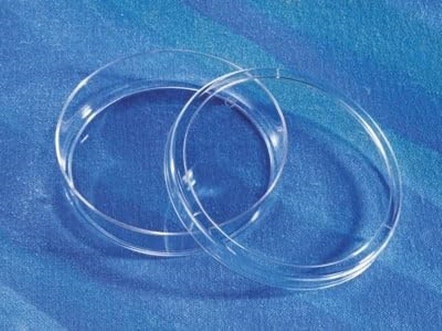 Glass Petri dish – 150mm , 20mm height
