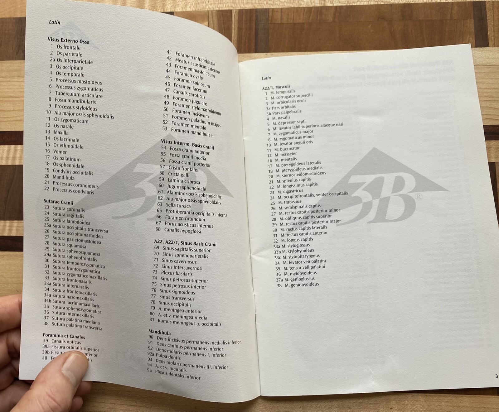 3B Scientific Anatomical A21 A22 A22/1 Classic Human Skull Model MANUAL ONLY