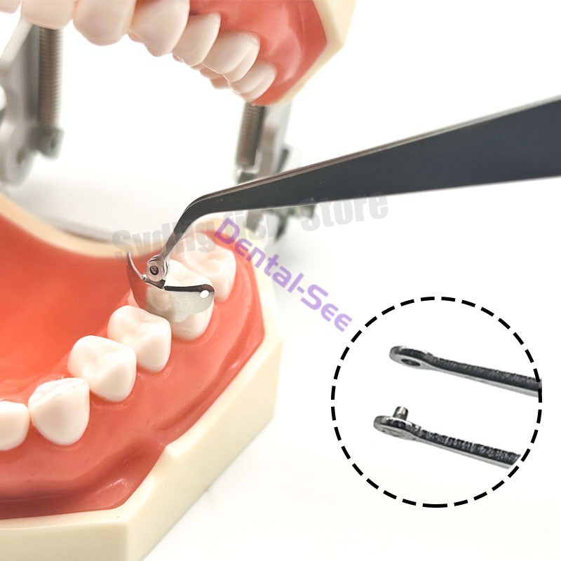 Dental Matrix Bands Ring Sectional Matrice Clamp Wedges Fit Palodent V3 System