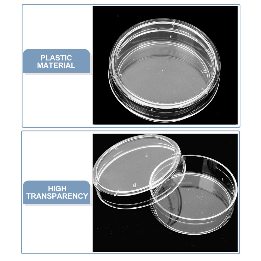 Set of 3 Greenhouse Petri Dish Avocado Growing Dishes Plate Science