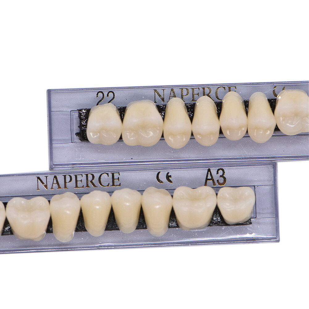 168PC Acrylic Resin Denture #22 Dental Upper Lower Shade A3 Teeth Set US