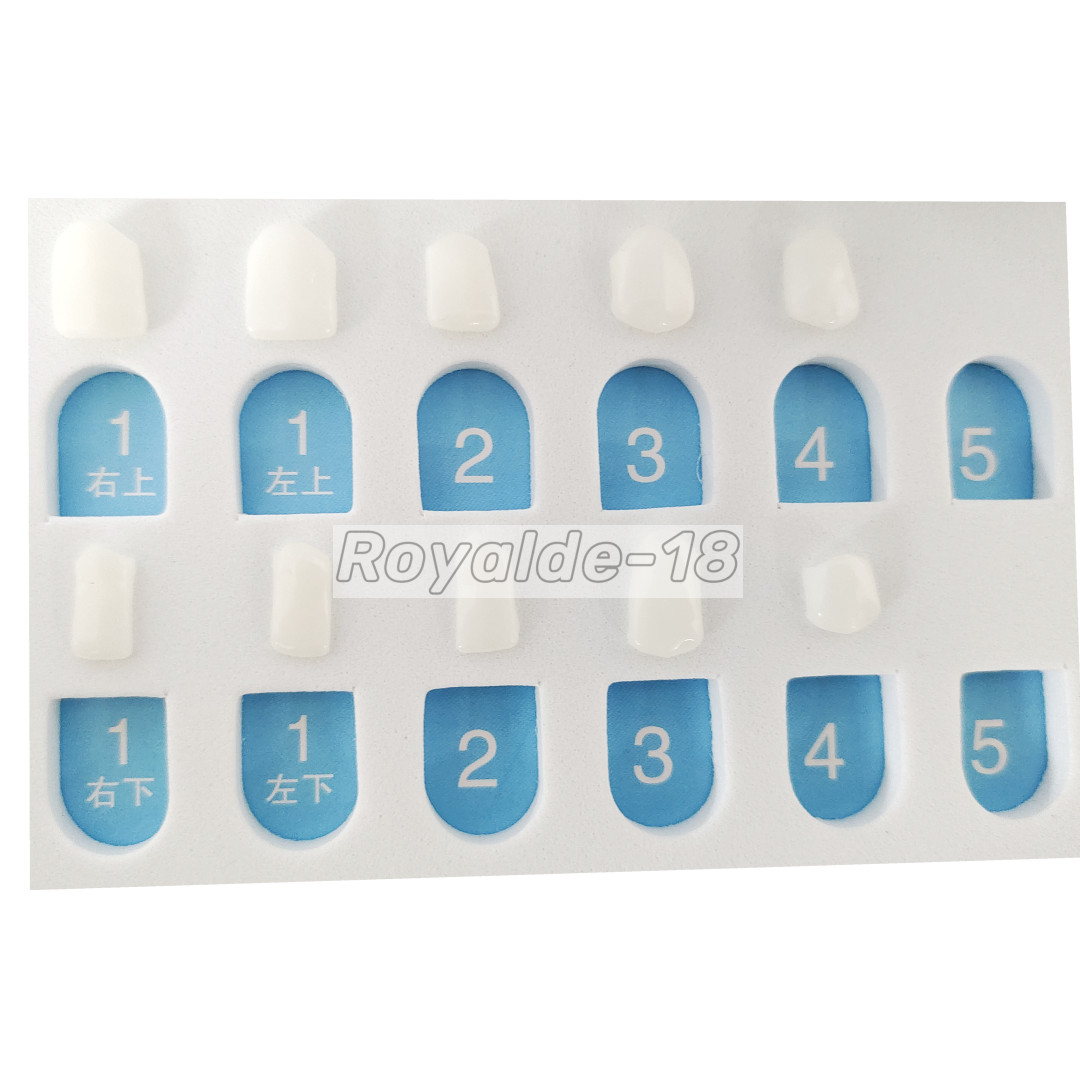 Dental Composite Veneer Template Front Teeth Practise Model Dentist Teaching